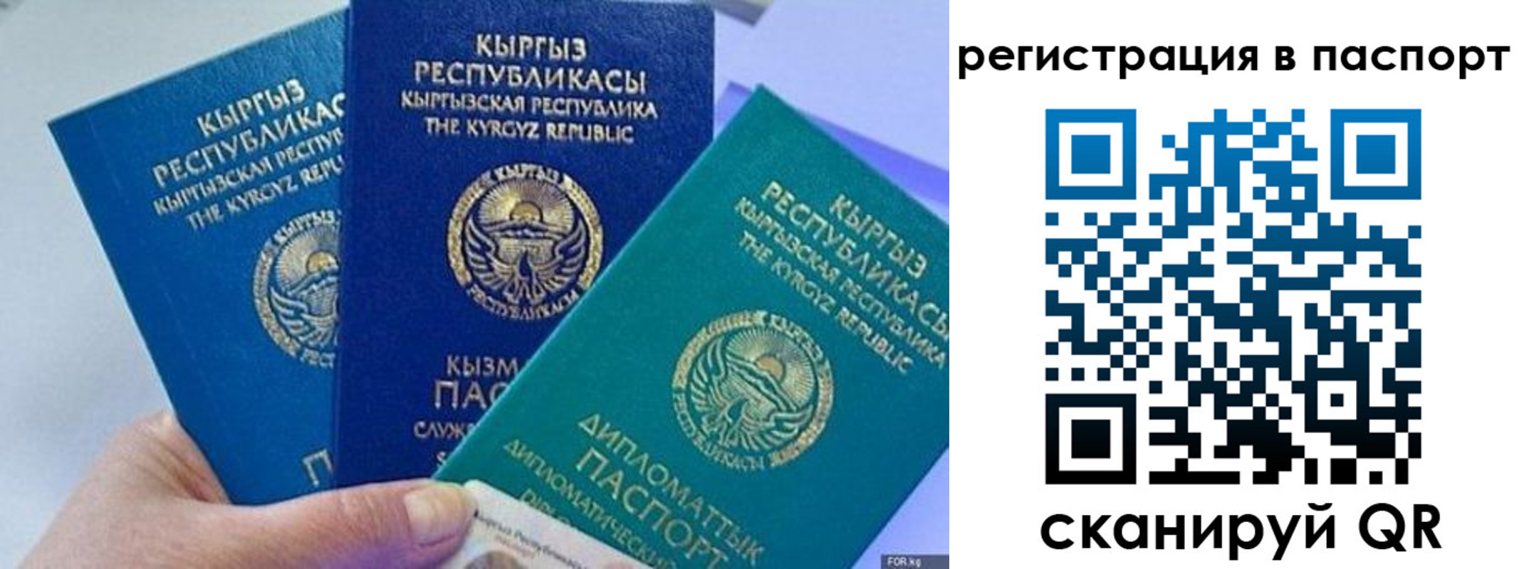 прописка 2025 в Пскове